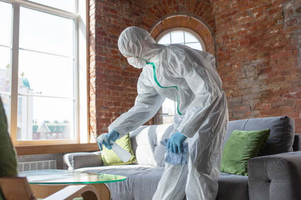 Why You Should Choose Our Mold Remediation Services in Slater, IA